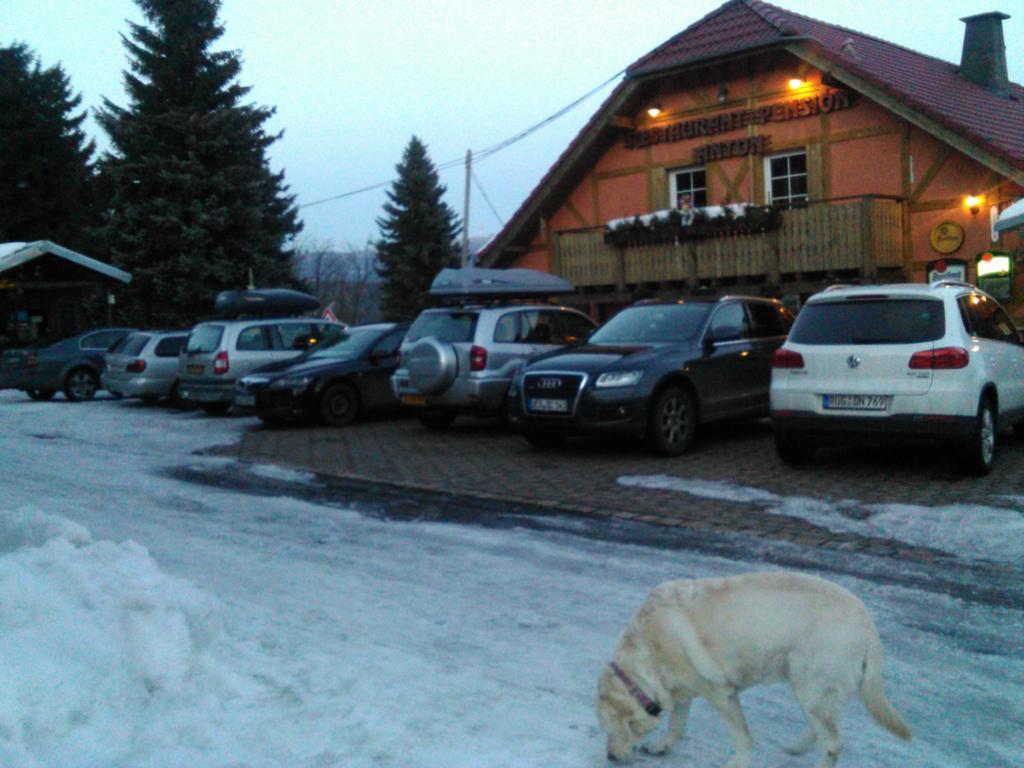 Gasthof Restaurant Pension-anton Jáchymov